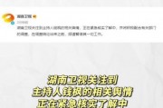 吃瓜娱乐收益怎么样,揭秘网络狂欢背后的收益秘密